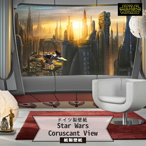 ǎ X^[EH[Y Aǎ fUC   NX ̂肠 DIY tH[ fBYj[ Disney ~[ǎ fUCǎ Komary8-483zStar Wars Coruscant View C-F-1