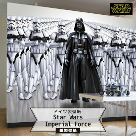 [スーパーセール期間10%OFF] 壁紙 スターウォーズ 輸入壁紙 デザイン おしゃれ 紙 クロス のりあり DIY リフォーム ディズニー Disney [ドイツ製 【8-490】Star Wars Imperial Force] CSZ
