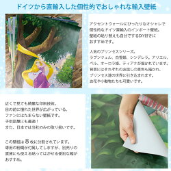 楽天市場 壁紙 ディズニー プリンセス 輸入壁紙 デザイン おしゃれ 紙 クロス Diy リフォーム Disney ラプンツェル アリエル ベル 白雪姫 オーロラ姫 ティアナ お城 夢 子供部屋 ドイツ製 8 449 Princess Rainbow Csz Diy