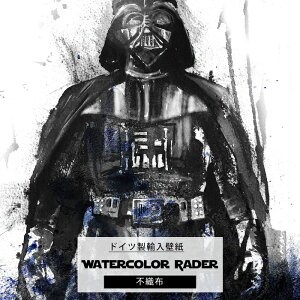 ǎ X^[EH[Y _[XxC_[ Aǎ fUC  sDz NX DIY tH[ Disney ʉ敗 ~[ǎ fUCǎ Komar yIADX4-017z Watercolor Vader EH[^[J[ 