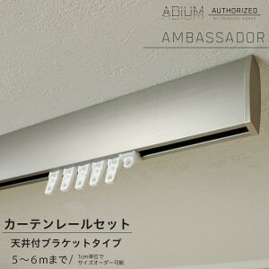 [}\N[|zz] J[e[ Vt Zbg 5.01`6m  Vv   J[e [ ADIUM AfBE AMBASSADOR AoT_[ H-N-0