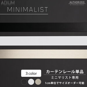 �A�C�A���J�[�e�����[�� �~�j�}���X�g ���[�� 0.5�`6m ADIUM�s�����o�ׁt[1cm�P�ʃT�C�Y�I�[�_�[ ������� ������ �V���v�� ���� �j�O �J�[�e�� ���[�� �n�C�G���h �h�C�c�� ADIUM �A�f�B�E�� ��