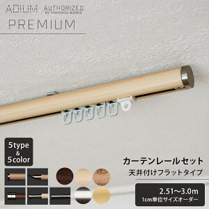 �J�[�e�����[�� �V��t �Z�b�g 2.51�`3.0m �t���b�g�u���P�b�g ������� ������ �V���v�� �k�� �ؖ� �� �E�b�h �J�[�e�� ���[�� 3m ADIUM PREMIUM �A�f�B�E�� �v���~�A�� C-F-3