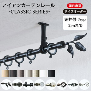 J[e[ ACA Vt 2m܂ C-F-3 Vv    S[h Vo[ AeB[N ACAJ[e[ NVbNV[Y 151`200cm܂ C-F-3