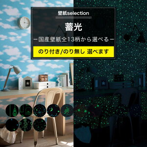 ǎ ~̍Yǎ S13Iׂ 1mP ؂蔄 ̂t ̂Ȃ NX \ւ tH[  ÈłŌ   u    _   F f I[ V q