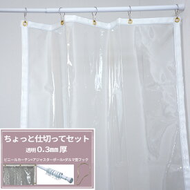 ビニールカーテン セット品 透明 0.3mm厚 幅50～85cm 丈150～200cm 突っ張り棒 ダルマ型フック 廊下 階段 玄関 間仕切り 省エネ 冷暖房効率 簡単取付 ちょっと仕切ってセット 【TT31】 JQ