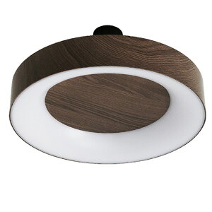 V[OCg DICLASSE eBR V[Ov Ɩ Cg CeA  JQ