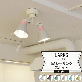 [10％OFFクーポンあり×25日限定] 照明 天井 おしゃれ シーリングライト スチールLARKS ラークス 2灯シーリングスポットライト JQ