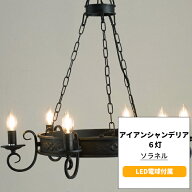 [スーパーセール50％OFF!]シャンデリア 照明 おしゃれ ブラック LED電球付属 電気 アイアンシャンデリア …