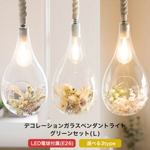 Ɩ y_gCg 1 ^ LEDdt  eECg fR[VKXy_gCg O[Zbg LTCY C-F-1