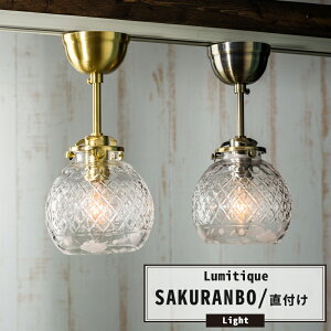 V[OCg Ɩ  k AeB[N 肳 KX  LEDΉ g t 1 ~eB[N  o C-F-1