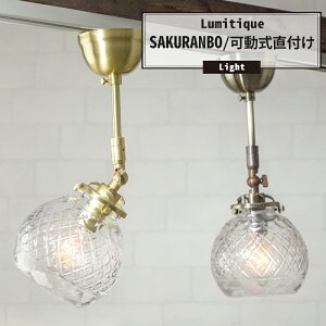 V[OCg Ɩ  k AeB[N 肳 KX  LEDΉ g t 1 ~eB[N  o C-F-1