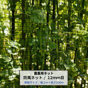 [|Cg5{×30] _Ɨplbg hlbg 12mm 2m×100m ubN ChbZ lbg   _ | ƒ؉ AOlbg agri h ݑ΍ h h ۉ 悯 