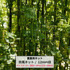 _Ɨplbg hlbg 12mm TCYI[_[ `500cm×`300cm ChbZ lbg   _ | ƒ؉ AOlbg agri h ݑ΍ h h ۉ 悯 ȈՃtFX 