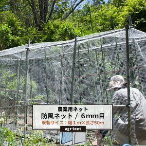 農業用ネット 防風ネット 6mm目 幅1m×長さ50m ワイドラッセル ネット 網 畑 農業 園芸 家庭菜園 アグリネット agri 防風 吹き込み対策 防雹 防霜 保温 風よけ 簡易フェンス 日本製 JQ