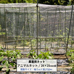 [y15OFFN[|] _Ɨplbg 20×25mm 2m×50m zCg Aj}lbg bQ CmVV L ChbZ lbg  _ | ƒ؉  AO agri Ռ h h