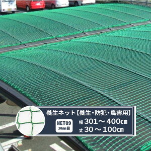 �l�b�g �� �{���l�b�g 30mm�� ��301�`400cm ��30�`100cm [2200T(2000d)/5�{] �yNET09�z ���z�{�� �{�� �����h�~ �h�� �����h�~ �ו���h�~ JQ