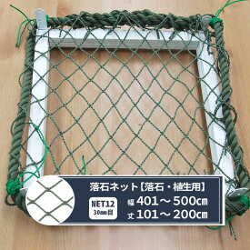 [スーパーセール限定 選べるクーポンあり] ネット 網 落石ネット 幅401～500cm 丈101～200cm [440T〈400d〉/44本 30mm目] 【NET12】 落石 植生 落石防止 芝押え ゴルフ場 荷崩れ防止 落下防止 JQ