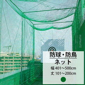 lbg  Stlbg 25mm 401`500cm 101`200cm [440T(400d)/36{] yNET15z싅 h St Klbg 싅lbg Ohlbg Q h 悯 JX悯lbg hƃlbg JQ