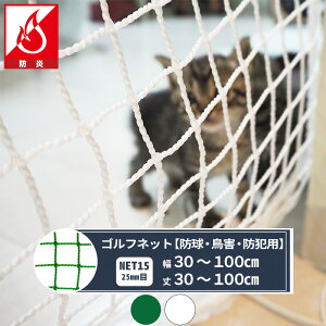 lbg  Stlbg 25mm 30`100cm 30`100cm [440T(400d)/36{] yNET15Bz h^Cv 싅 h Q Klbg Stlbg 싅lbg 싅 Ohlbg X|[cpi 悯 JX