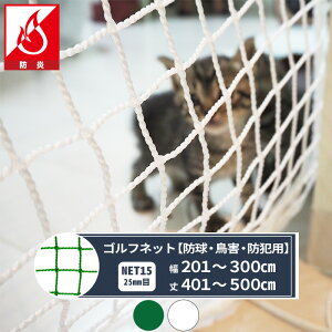 lbg  Stlbg 25mm 201`300cm 401`500cm [440T(400d)/36{] yNET15Bz h^Cv 싅 h Q Klbg Stlbg 싅lbg 싅 Ohlbg X|[cpi 悯 J