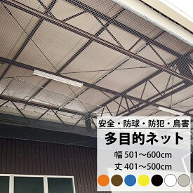 [10%OFFクーポン×6月1日限定] ネット 網 多目的ネット幅501～600cm 丈401～500cm 25mm目 【NET15C】 ベランダ 転落防止 ゴルフネット 防球ネット 鳥よけ 鳥害ネット 防犯ネット 安全ネット JQ