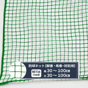 lbg  Stlbg 25mm 30`100cm 30`100cm [440T(400d)/60{] yNET16z St h Q 싅 OEh h JX ng L悯 S~u JQ