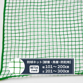 [ポイント5倍×30日限定] ネット 網 ゴルフネット 幅101～200cm 丈201～300cm [440T〈400d〉/60本 25mm目] 【NET16】 ゴルフ 防球 鳥害 野球 グラウンド 防犯 カラス除け ハト除け 猫よけ ゴミ置き場 JQ