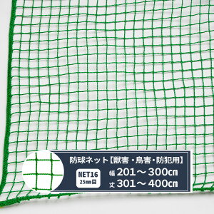 [10%OFFN[|×25] lbg  Stlbg 25mm 201`300cm 301`400cm [440T(400d)/60{] yNET16z St h Q 싅 OEh h JX ng L悯 S~u JQ