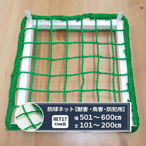 [10%OFFN[|×1] lbg  hlbg 45mm 501`600cm 30`200cm [440T(400d)/180{] yNET17z h bQ Q hƗp St Z OEh X l悯 JQ