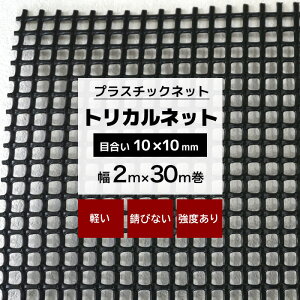 gJlbg N-24 2m×30m ڍ 10×10mm vX`bNlbg vX`bN  bQ΍ 悯 CmVV΍ Q _앨 ی h Nh~ lbg   ubN JQ