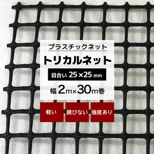 [|Cg5{×30] gJlbg N-29 2m×30m ڍ 25×25mm vX`bNlbg vX`bN  bQ΍ 悯 CmVV΍ Q _앨 ی h Nh~ lbg   u