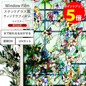 [Si|Cg5{×C[OXӍ] EBhEtB KXtB XehOX \Ă͂ ډBV[g UVJbg OK yWFSP14zgX C-F-1