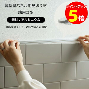 [Si|Cg5{×C[OXӍ] ؂ [p A~Vo[ ^ǃplp؂ [pR^ C-F-1