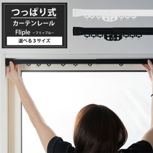 [y15OFFN[|] ς J[e[ zCg ubN Ԏd J[e sv  eV[ ς莮J[e[ Fliple tbv C-F-1