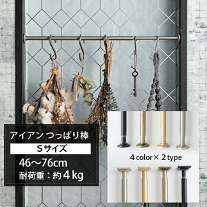 ˂_ ς_  46`76cm ω׏d4kg J[e  Z  [ ubN Vo[ S[h ACAeVbh NVJ STCY CSZ