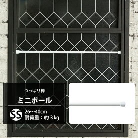 楽天市場 突っ張り棒 ポール アイアンの通販