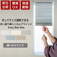 ハニカムブラインド 突っ張り棒 非遮光 ハニカムスクリーン プリーツスクリーン 小窓 穴あけ不要 賃貸 保…