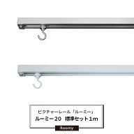 ピクチャーレール セット品 標準 1m 耐荷重30kg 天井用 壁付用 ディスプレイレール インテリアレール 壁…