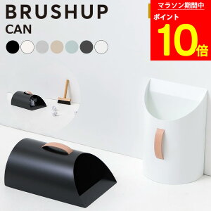 [|Cg10{×}\Ԓ] ق Ƃ Zbg |p  Vv k CeA ubN zCg O[ J CAN BRUSHUP