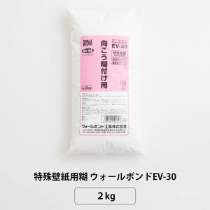  ̂ ǎp t^Cv ǎp EH[{hEV-30 2kg H-N-0