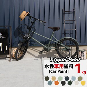 ] h ]ԓh 1kg h yL ]Ԃ̐Fς ` yCg  }bgJ[ Fς DIY h Dippin' Paint