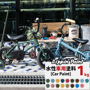 ] h ]ԓh 1kg h yL ]Ԃ̐Fς ` yCg  }bgJ[ Fς DIY h Dippin' Paint