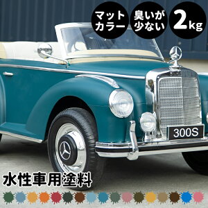 ԗph Car Paint 2kg h yL Ԃh ԓh ԓh ԑ̓h ԗpyCg Sh   CN  }bgJ[ J[bsO Fς J[yCg C Dippi