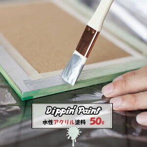  yL ANh Vo[ 50g h h yL mx[V CN DIY hDIY C   Vo[ ^bN  C_XgA jO Dippin' Paint H-N-0