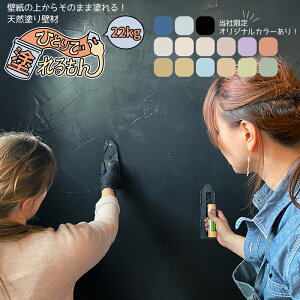 壁 漆喰 カビ ペンキ ラッカー Diy 工具の通販 価格比較 価格 Com