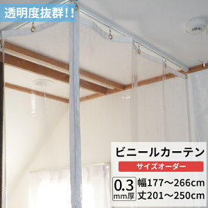 rj[J[e  0.3mm 177`266cm 201`250cm rj[ J[e rj[ rj[V[g I[_[ Ԏd؂ ȃGl ߓd h ho h   C x_ TC