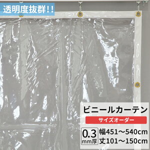 rj[J[e  0.3mm 451`540cm 101`150cm rj[ J[e rj[ rj[V[g I[_[ Ԏd؂ ȃGl ߓd h ho h   C x_ TC