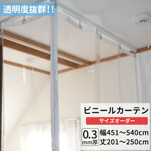 rj[J[e  0.3mm 451`540cm 201`250cm rj[ J[e rj[ rj[V[g I[_[ Ԏd؂ ȃGl ߓd h ho h   C x_ TC