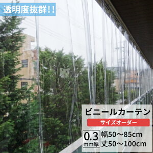 rj[J[e  0.3mm 50`85cm 50`100cm rj[ J[e rj[ rj[V[g I[_[ Ԏd؂ ȃGl ߓd h ho h   C x_ TCY